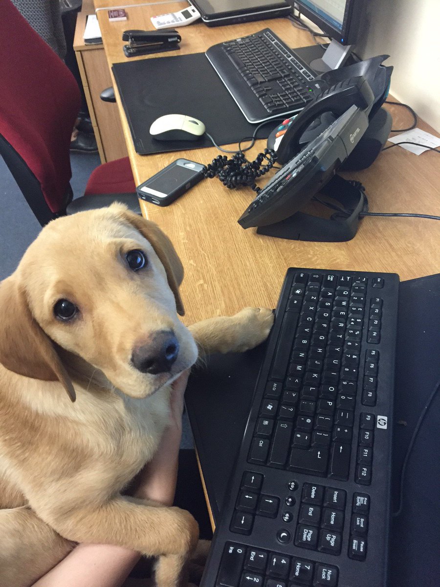RedCarpetBarton's tweet photo. Avoid disappointment and call 01283 716257 to secure your seats - Bobbie is ready and waiting to take your booking! https://t.co/9PoA7xw9RX