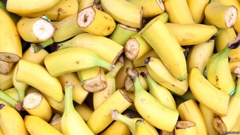 BBCWorld's tweet image. Imagine a world without bananas - the world's power fruit is in crisis bbc.in/1KxH9BB