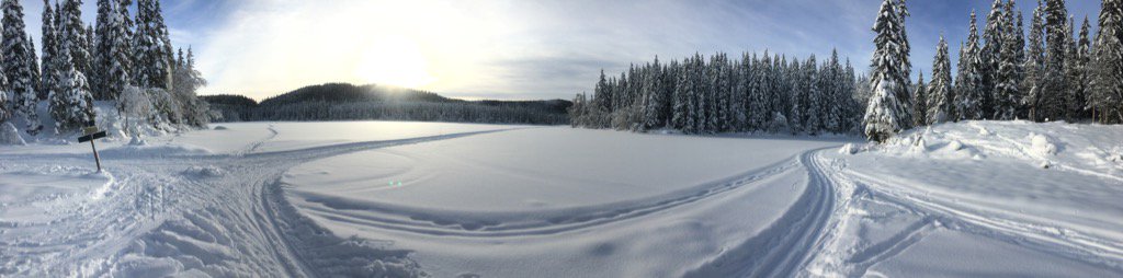 nate__brown's tweet photo. New backyard to explore... Think I like it here. https://t.co/6qbDB4iQdh