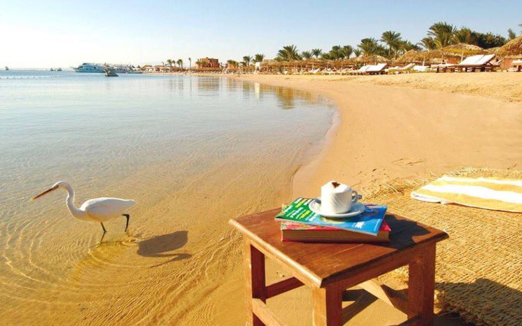 Shaga3app's tweet photo. Sinai #Egypt .. #sun&amp;sand https://t.co/DTl2Ho8wyR