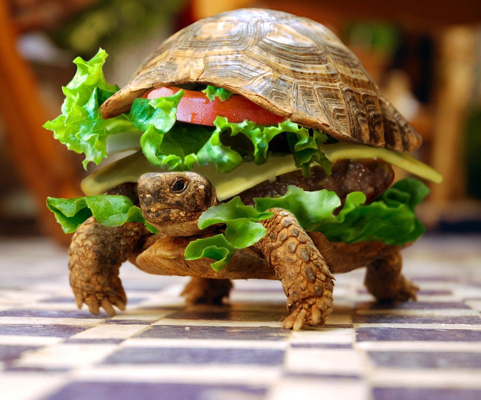 danisummerday's tweet image. 