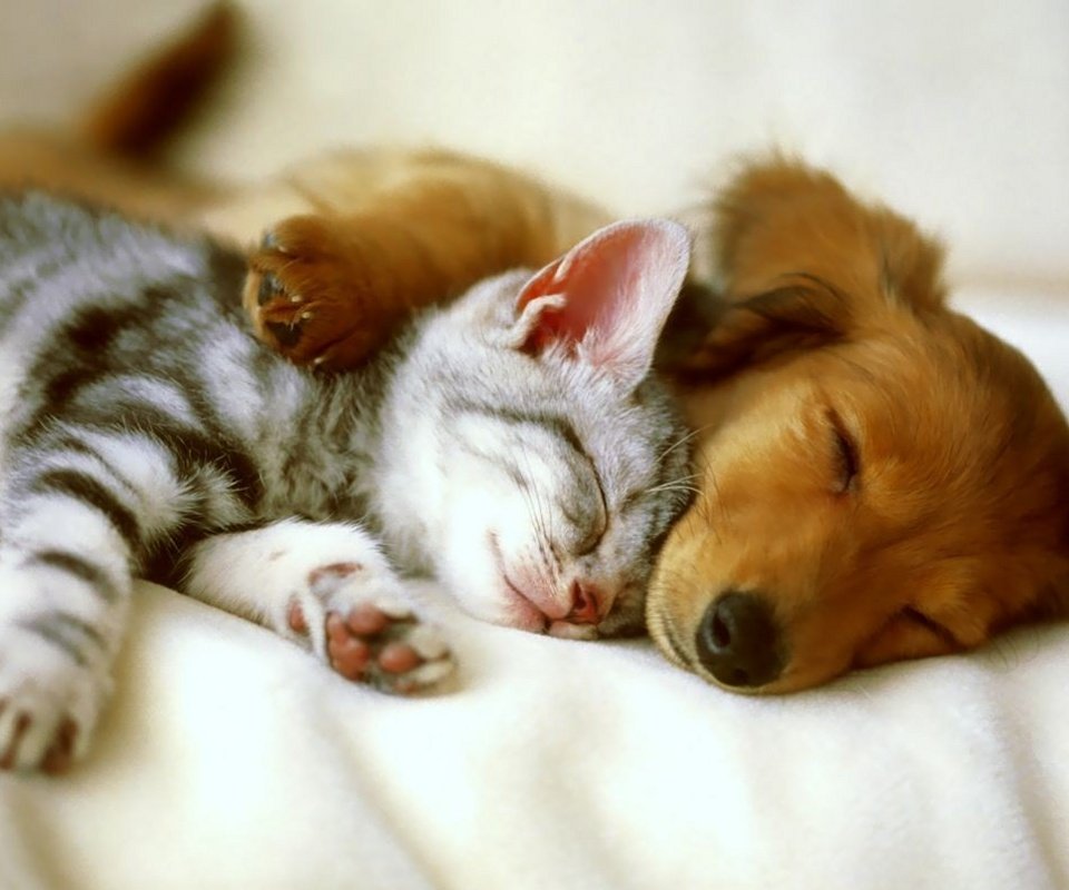 danisummerday's tweet image. 