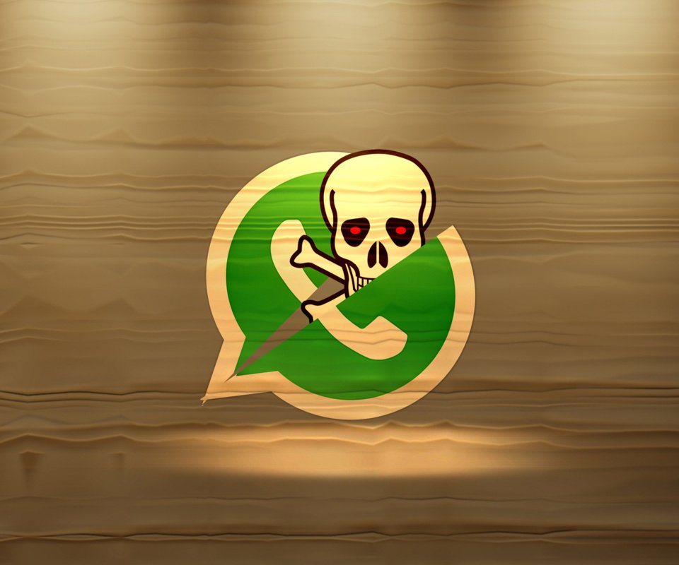 danisummerday's tweet image. 