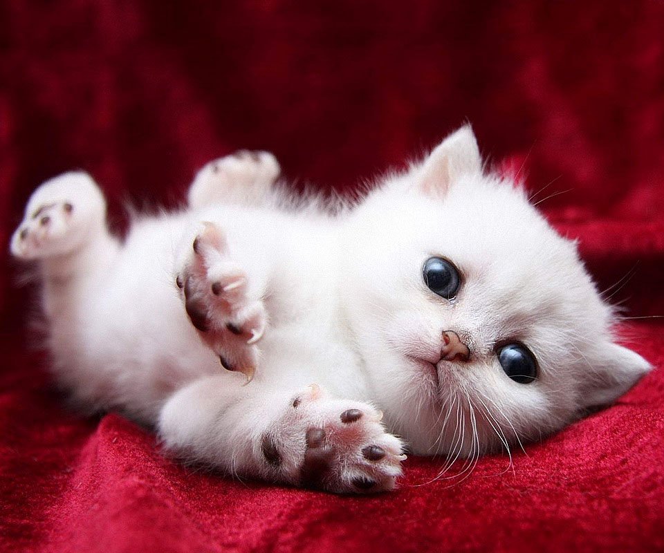 danisummerday's tweet image. 