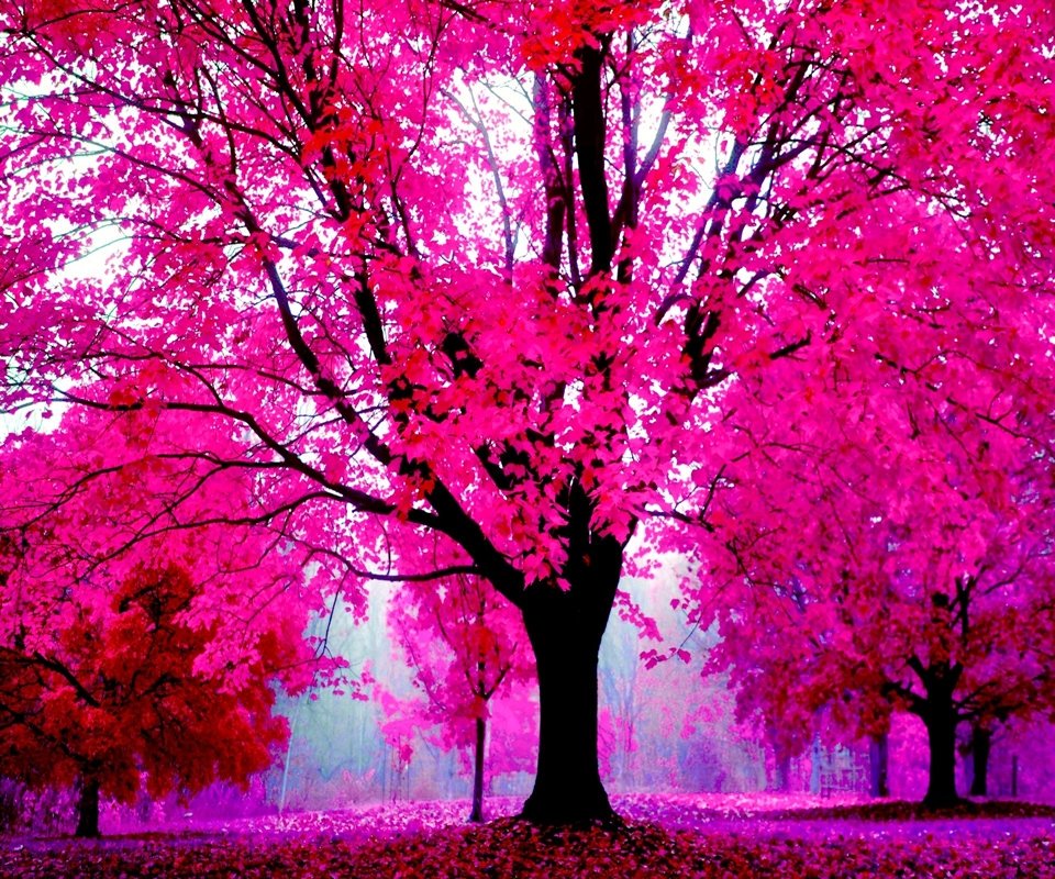 danisummerday's tweet image. 