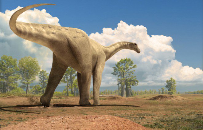 Fins finals de febrer pots participar al concurs "Històries fòssils" del <a href="/ICP_MCrusafont/">Institut Català de Paleontologia Miquel Crusafont</a> buscaciencia.cat/esdeveniments/…