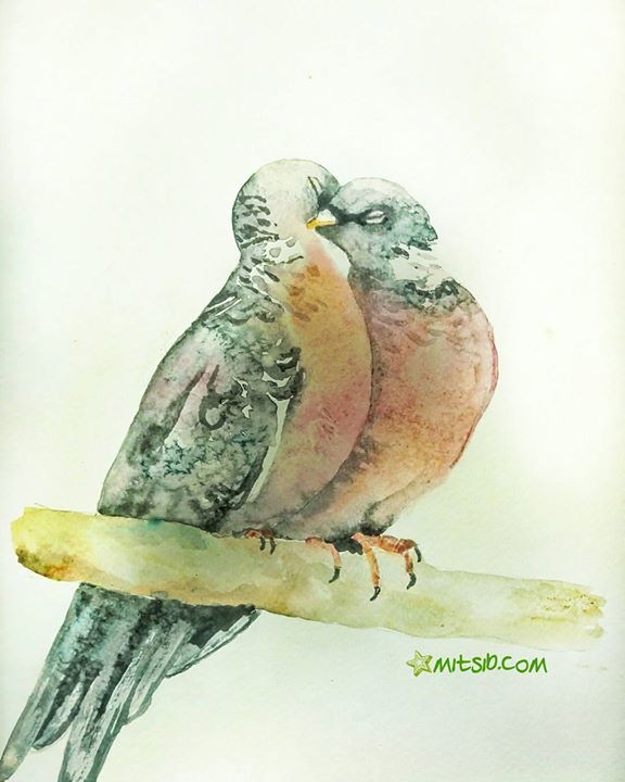 Wood pigeons in watercolour #mitsib #52weeksofwatercolourbirds #fritziflock ift.tt/1Q2e5sC