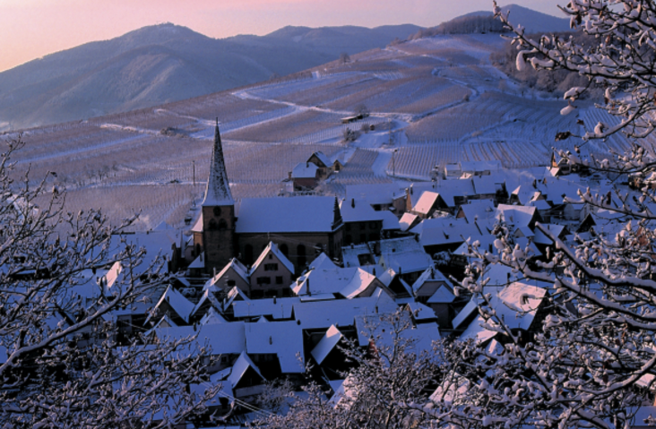 AlsaceWines's tweet photo. Good morning from snowy Niedermorschwihr, Alsace! #DrinkAlsace https://t.co/wvF7A5619q