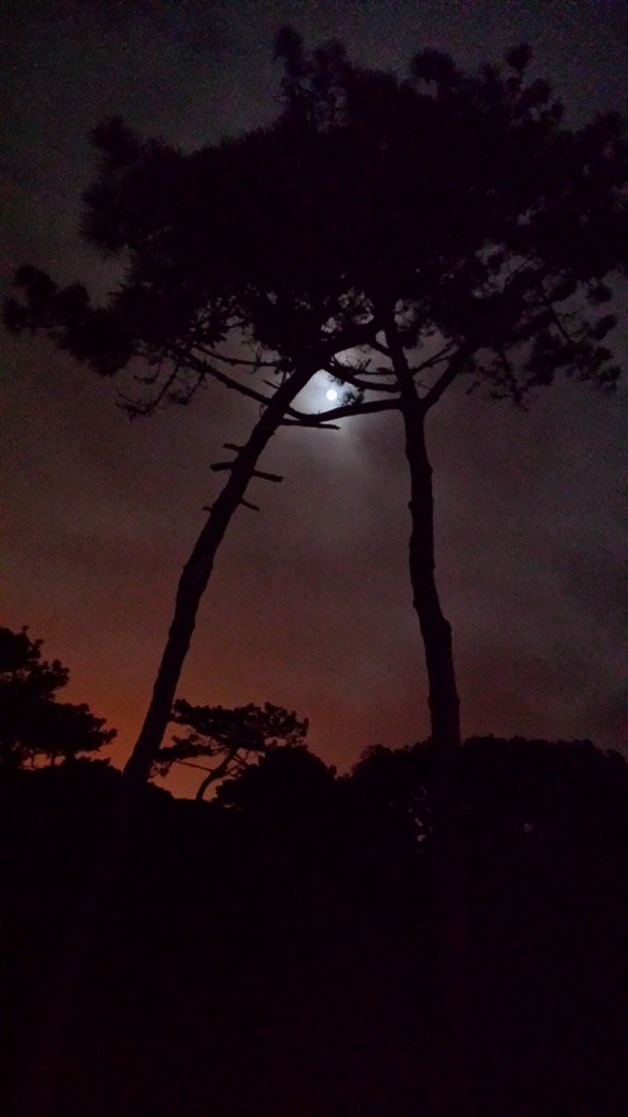 carolewyer's tweet photo. Shot of the moon by Mr Grumpy. Love this one. #moonlight2016 https://t.co/qBwqiMZba6