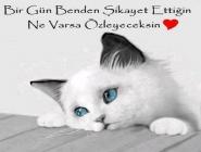 AYEEVK3's tweet photo. https://t.co/L4uLPbPUKY