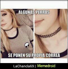 Rolex1238's tweet photo. https://t.co/xu1Jh1klCe  
Compartida con Memedroid para Android #perrasquad https://t.co/iYOvmkP5Cd