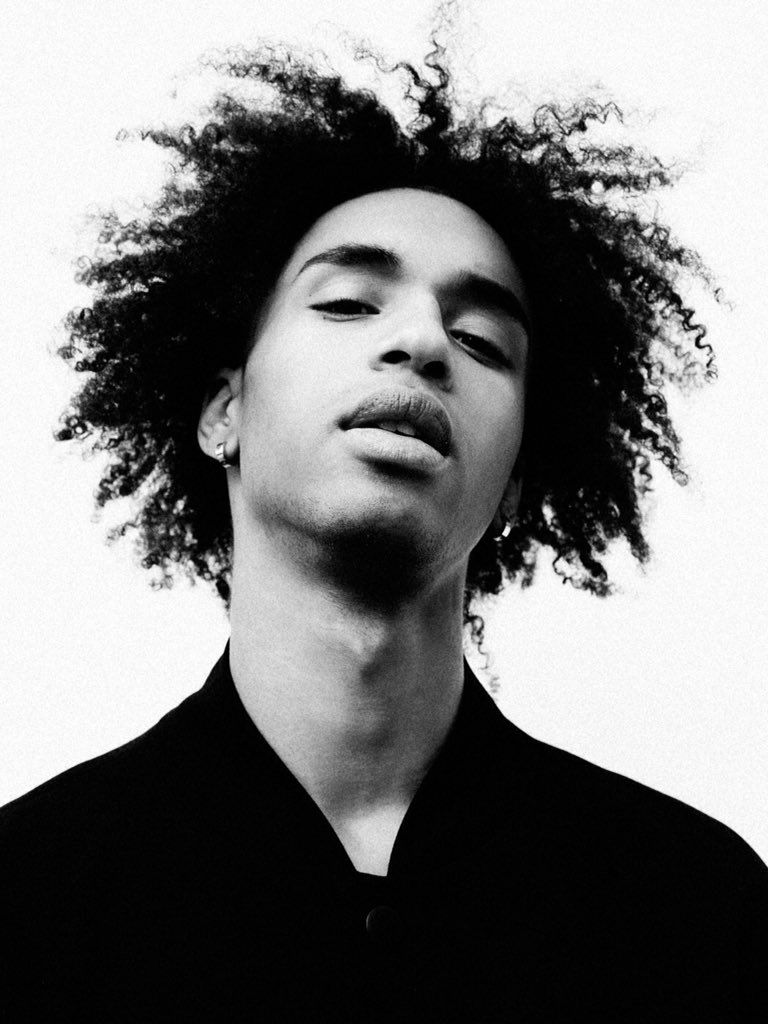 Macfly Studio tweet media