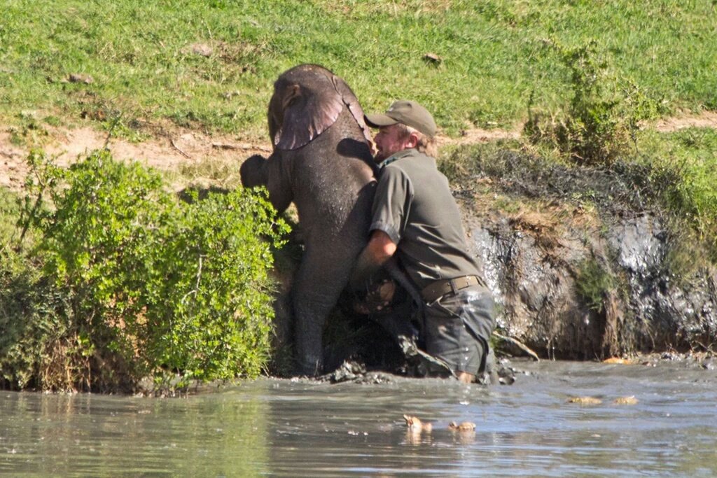 Vaslot Brieuc (@VaslotB) / Posts / X