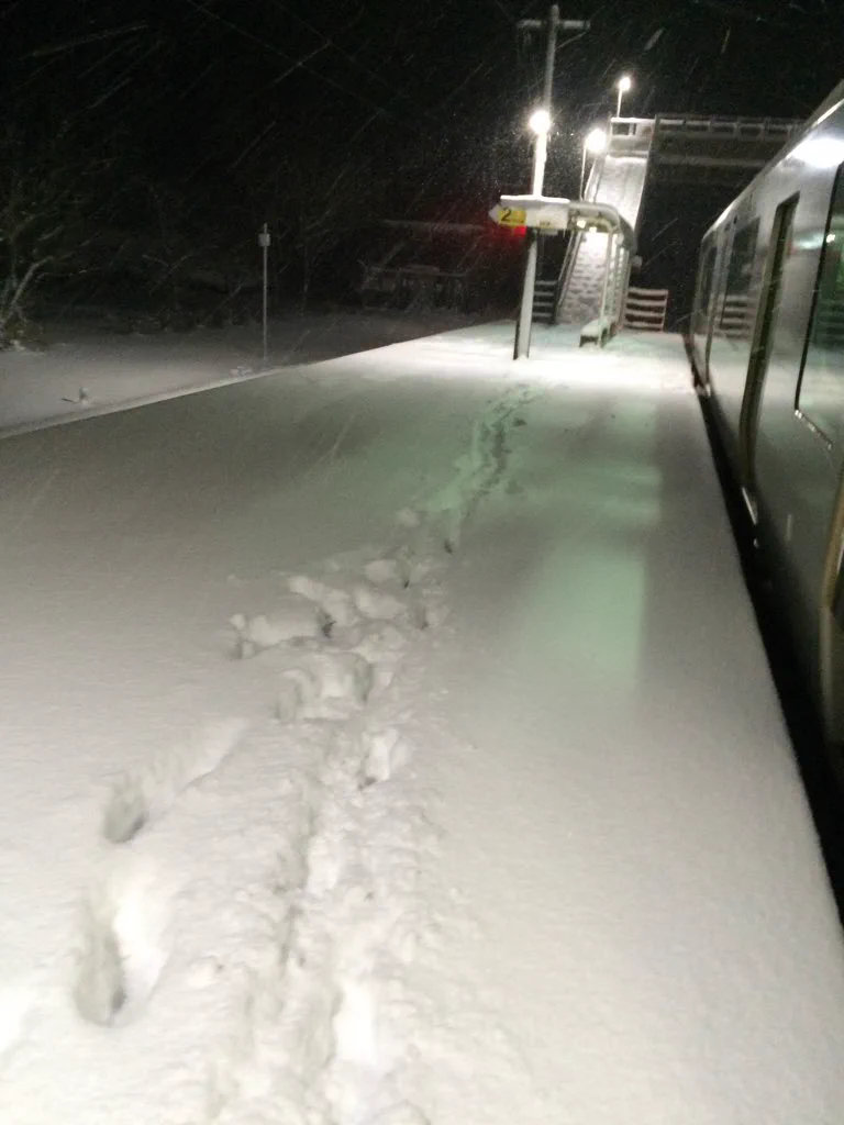 吹雪の中、駅員がドアを開けたまま出て行って帰ってこない...地獄の数時間...