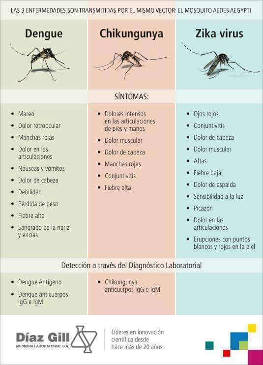 Para tener en cuenta, los síntomas del Dengue, Chikungunya y el virus del Zika