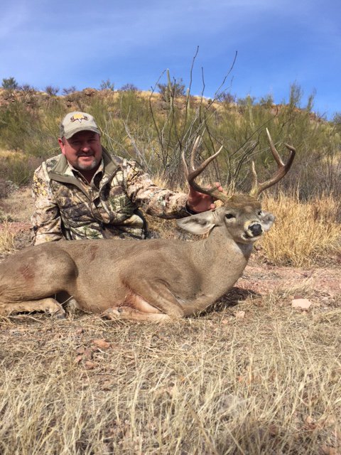 discodantheman's tweet photo. Coues deer. Sonora's grey ghost. Sneaky little bucks that are hard to see in the mountain shade.#aimsmall #InUrBlood https://t.co/54ndvhw1or