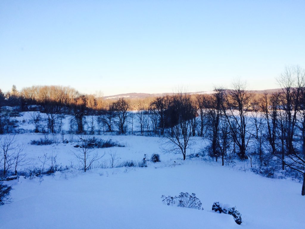 Peach Grove Inn tweet media