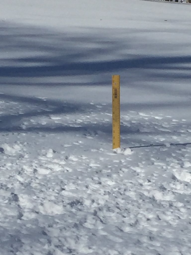 The actual total is.... Drum roll pls....24.5 inches in my yard!!! Amazing!
