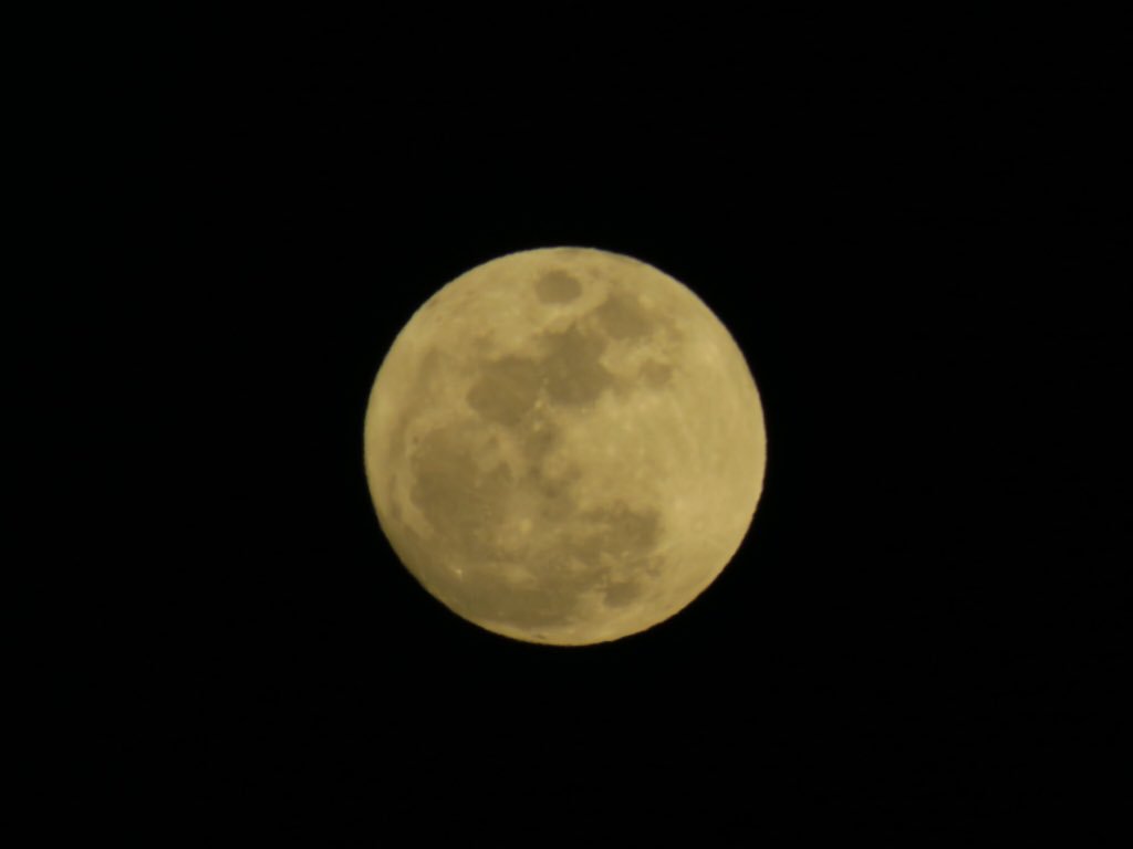javisyko_'s tweet photo. 📸 #moon #moonlight2016 #moonlight #photography https://t.co/GMVtrAnCMp