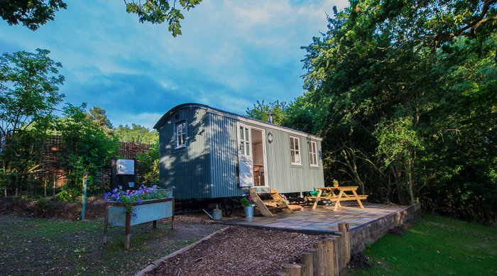 The Shepherds Hide tweet media