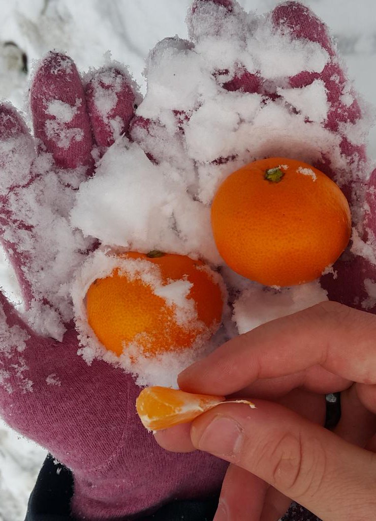 underthejasmin's tweet photo. Kanatlı atın yıldız patlaması saldırısı ❄ @yorgunuykusuz @lasefa @kemmiya https://t.co/89cqtSyd5V