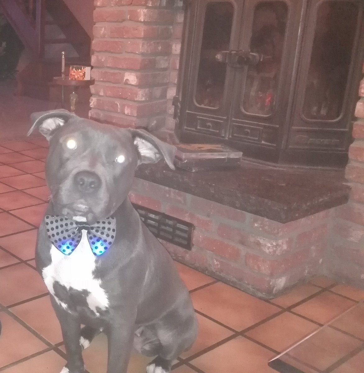 DelemRudy's tweet image. Ma fifille