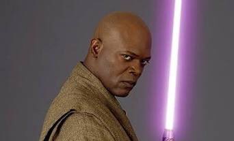 thelastjedie's tweet image. mace is always giving you that look