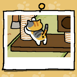 eddieguakerro's tweet photo. #ねこあつめ https://t.co/XSMjgZylFB