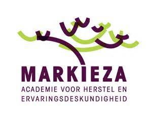 Ervaringsdeskundige wordt eindelijk een beroep psychiatrie-nederland.nl/nieuws/ervarin…