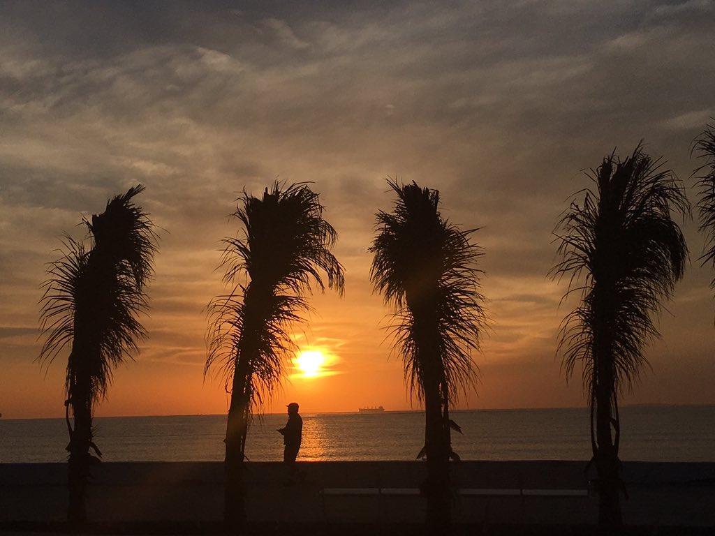 fotogarrido's tweet photo. Lo mejor de #Veracruz, está en @_BocadelRio...

Amanecer de domingo, el mejor domingo de la semana.! https://t.co/ZGqyE8PEHW