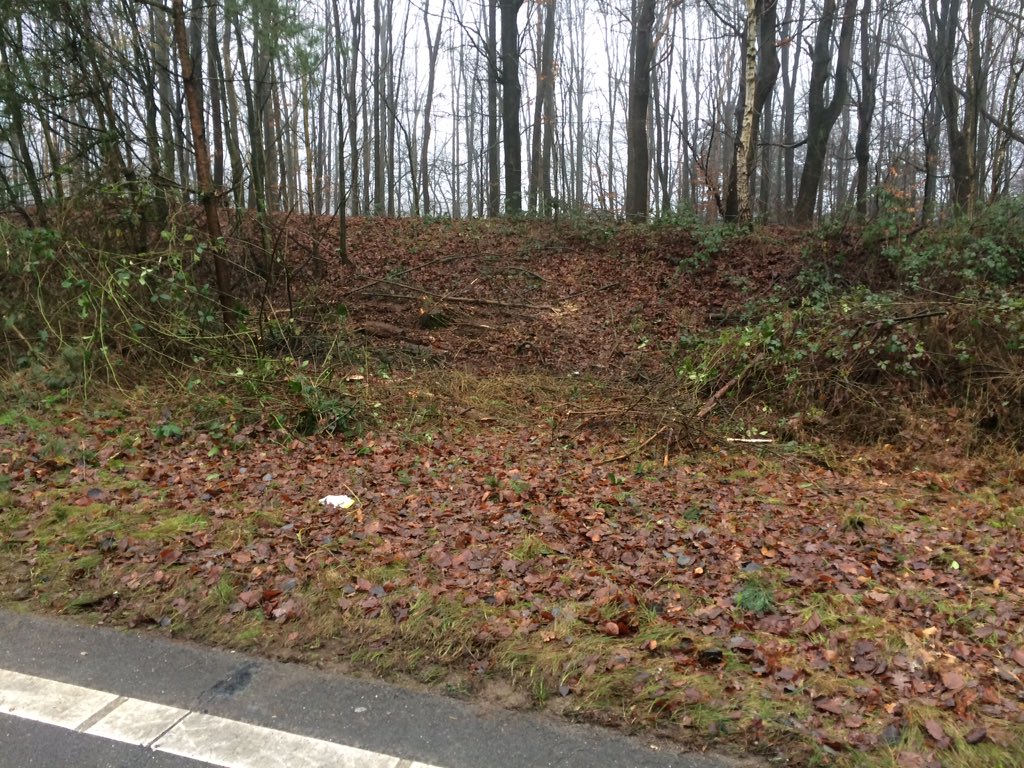 Jurgen_Lamers's tweet image. De berger heeft het voertuig meegenomen en de bomen takken zijn opgeruimd en de afrit is vrij.