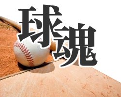 ソフトボール名言 いろいろ画像 Softballmeigen Twitter