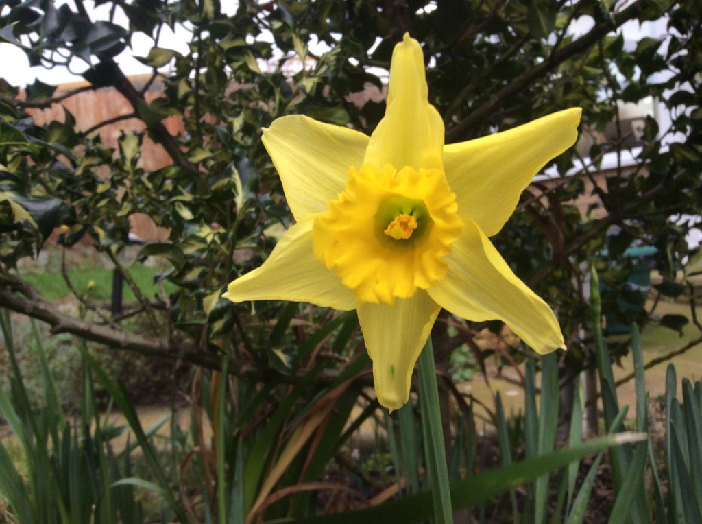 chriswdrew's tweet image. Well, hello there! 

#springsoon?