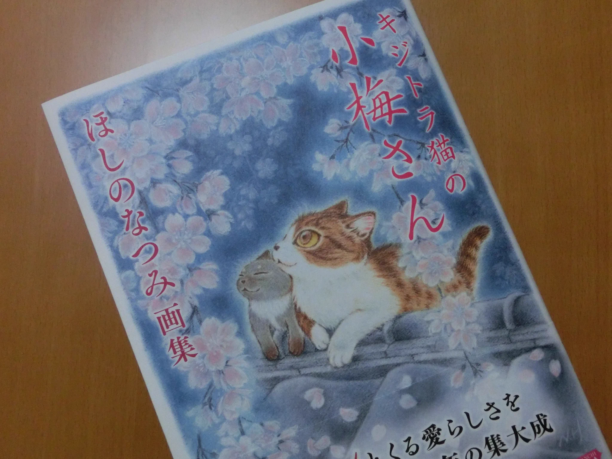 ほしのなつみ「キジトラ猫の小梅さん」28巻発売中 (@kijitorashippo2) / X
