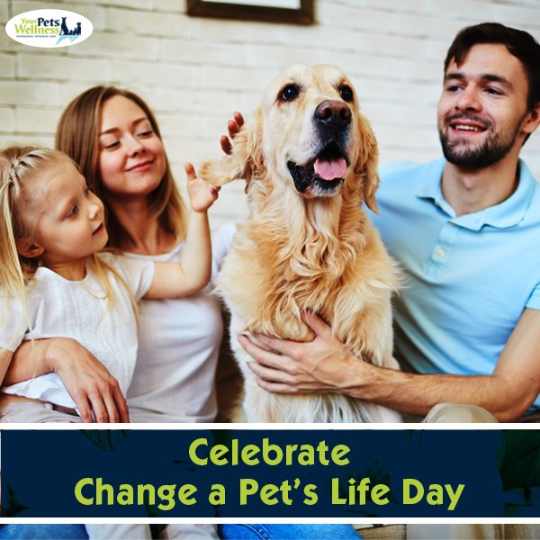 How have you changed a pet's life?
#changeapetslifeday