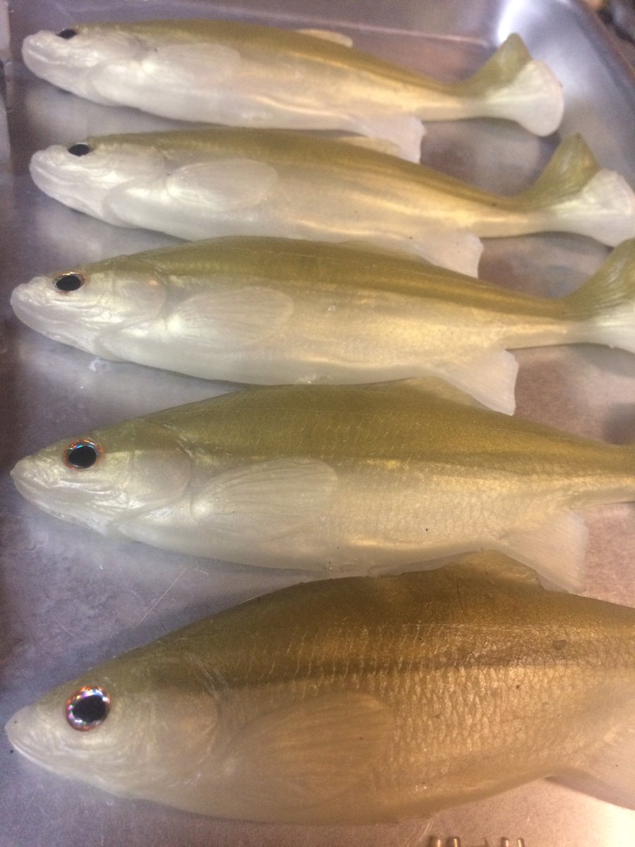 Smash Tech Baits (@smashtechbaits) on Twitter photo Smash-Tech Shiner is now available at smashtechbaits.com !! Smash-Tech Shiner is now available at smashtechbaits.com !!