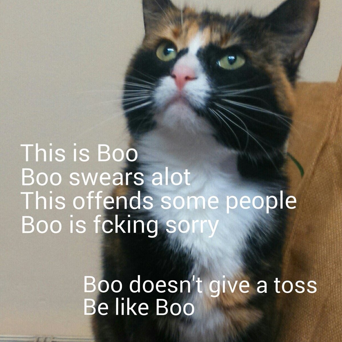 m.facebook.com/Conway-Budget-…