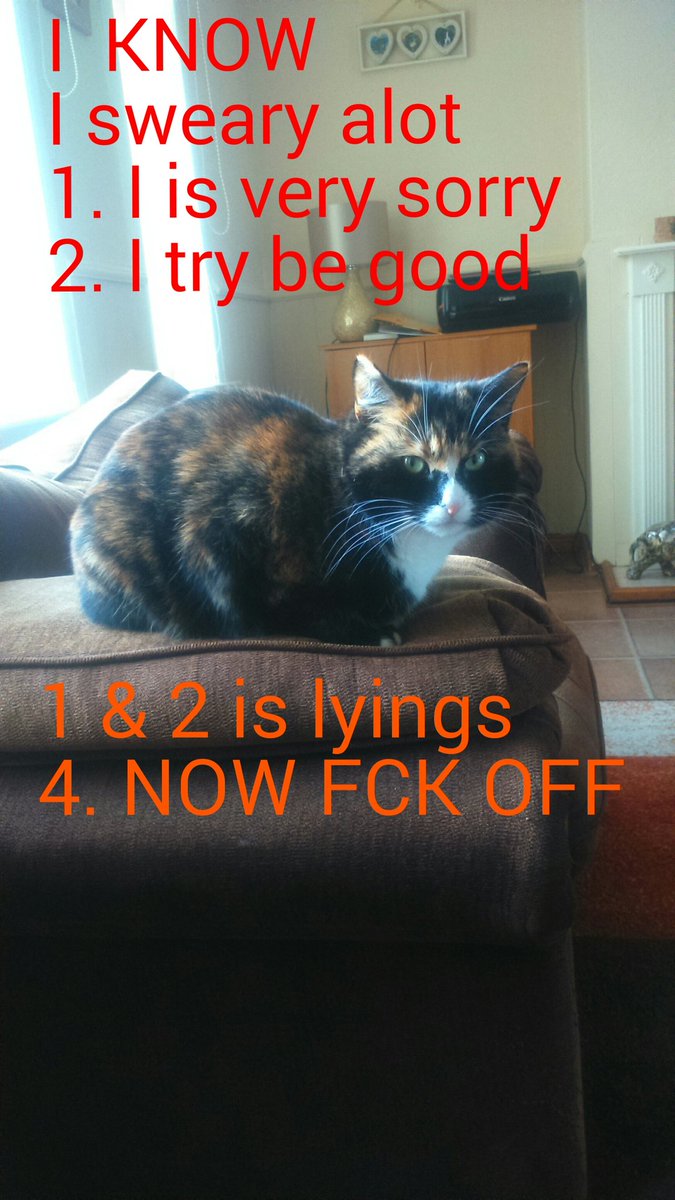 m.facebook.com/Conway-Budget-…