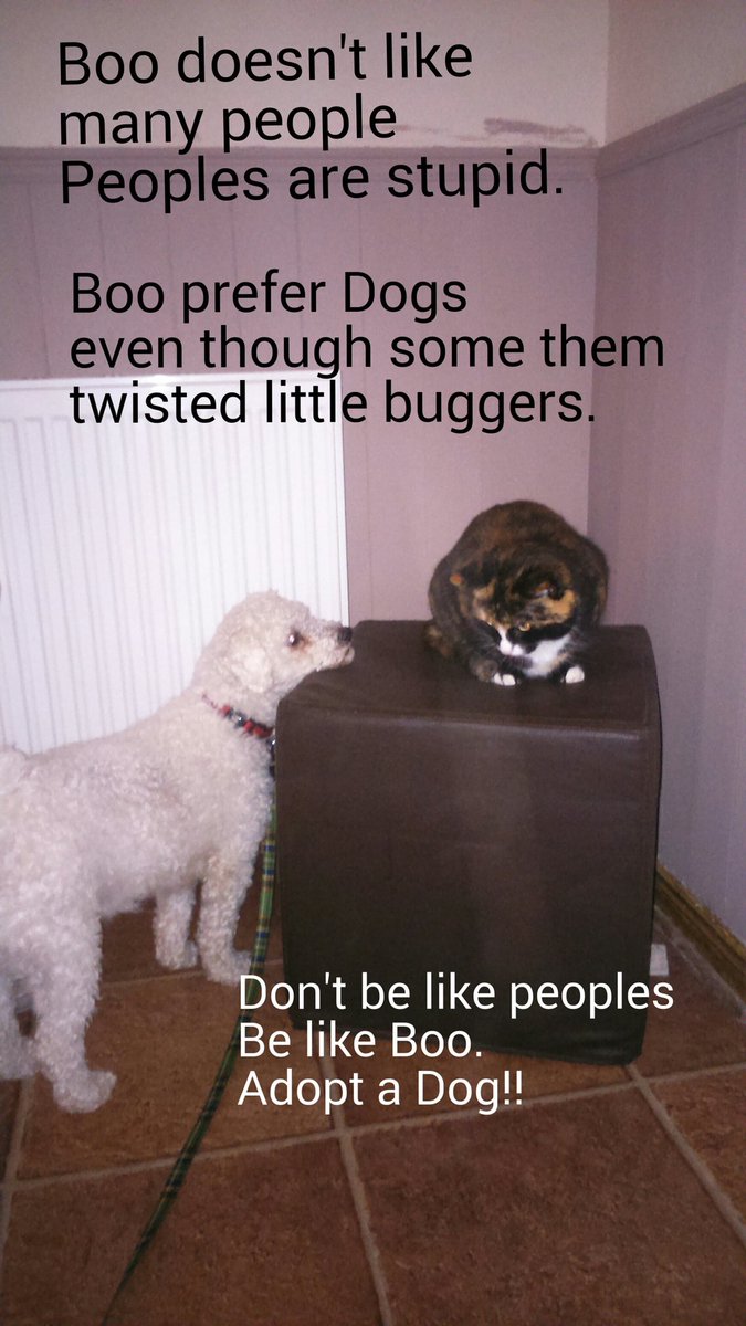 m.facebook.com/Conway-Budget-…