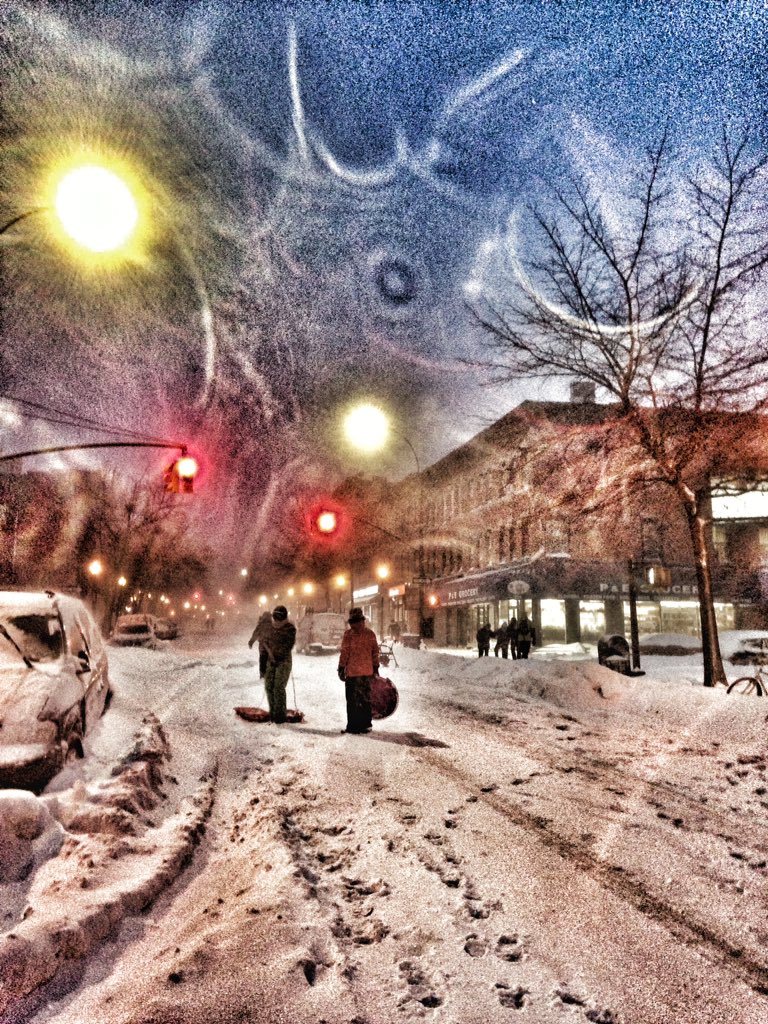 goldensummer12's tweet photo. Sled find in the streets. #parkslope # blizzard 2016 #NYCBlizzard https://t.co/pO1a72q58I