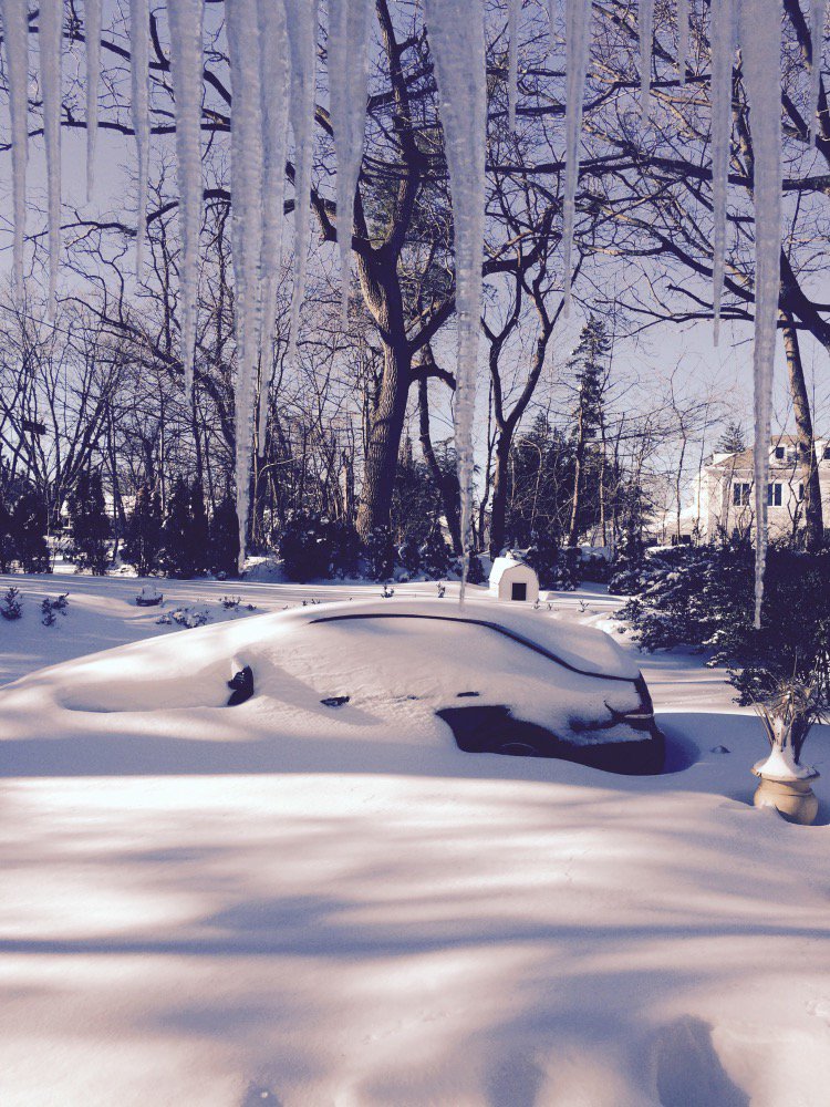 FiftyAndOver's tweet photo. *Thank you for keeping us updated during #blizzard2016 #abc7ny #snowstorm Over 20" of snow in LI, New York. https://t.co/NRq0gF0E1t