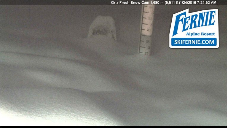 TourismFernie's tweet image. POW Day! #20cmrule #powder #skipowder #ferniestoke