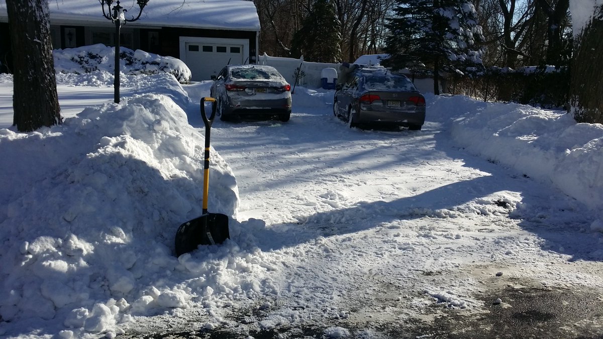 mpoyner711's tweet photo. One Man One Shovel One Day https://t.co/D3aKyLWxAl