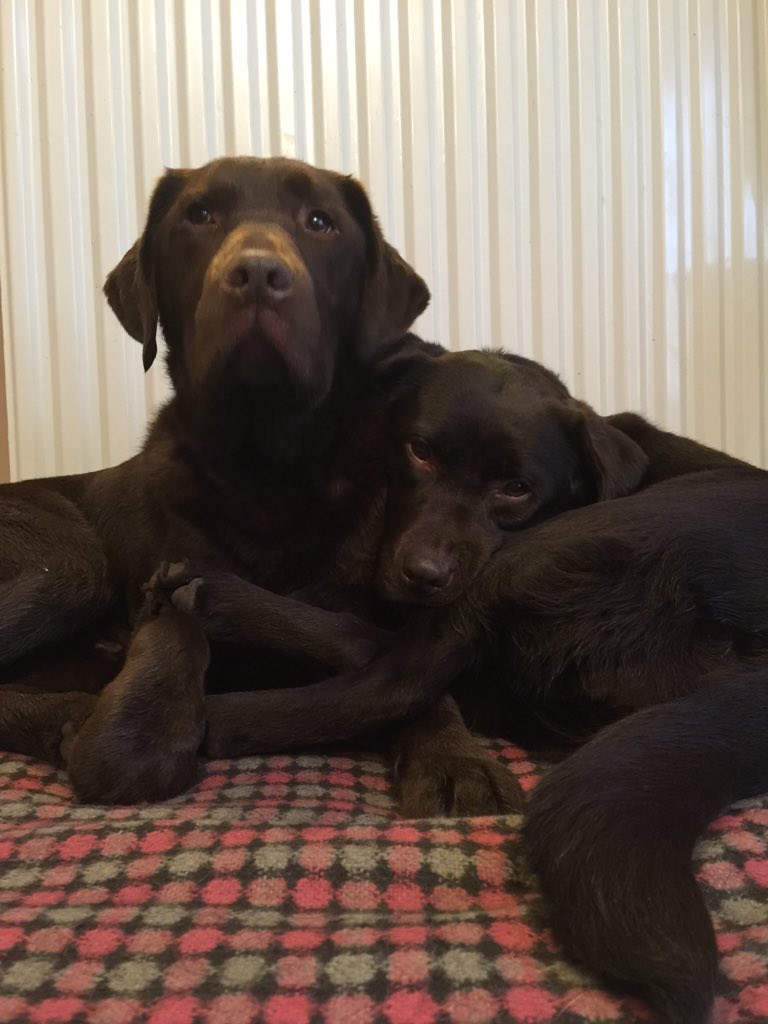 She loves her brother!