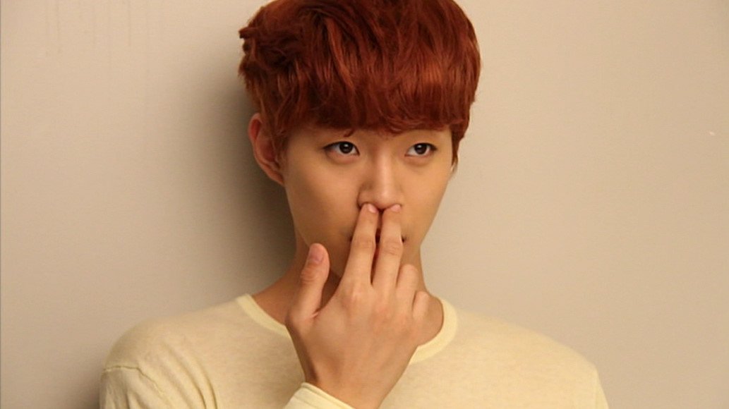 埋め込み画像への固定リンク