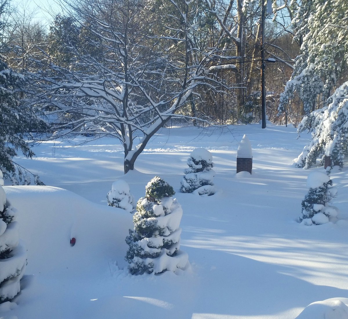 ArsEstHabitus's tweet photo. Spot the car. #ShovelSunday https://t.co/Jt6r9TCSQu
