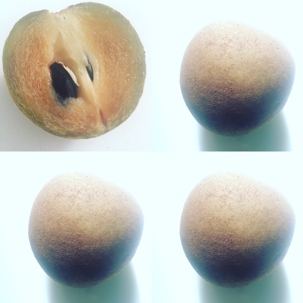 Armando_Ribeiro's tweet photo. Alguém conhece essas frutas exóticas? #sapoti e #pitomba #sãoluís #Maranhão https://t.co/1Mvvy4963r