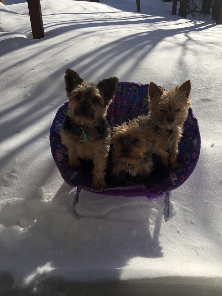 LadyTelsee's tweet photo. @cbsbaltimore #WJZSnowWatch https://t.co/aY4vPgNwBk