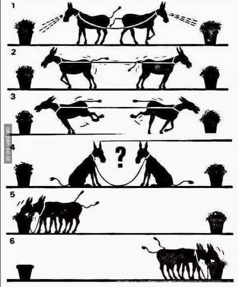 Kekompakan untuk mencapai tujuan yg sama itu sangat penting.