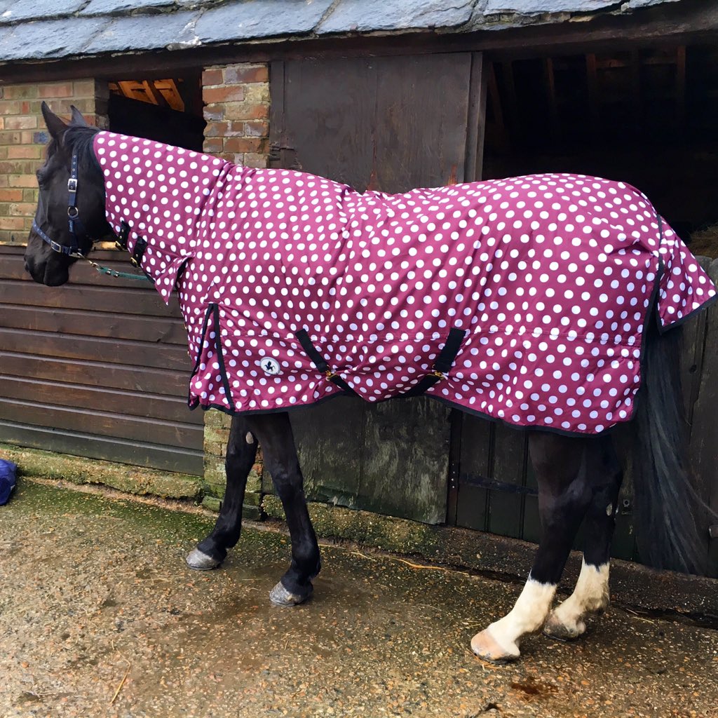 APEquine's tweet image. Poor boy is having to suffer in a girly rug , I'm having to pay for our disappointing @Horseware rug to be fixed 😔
